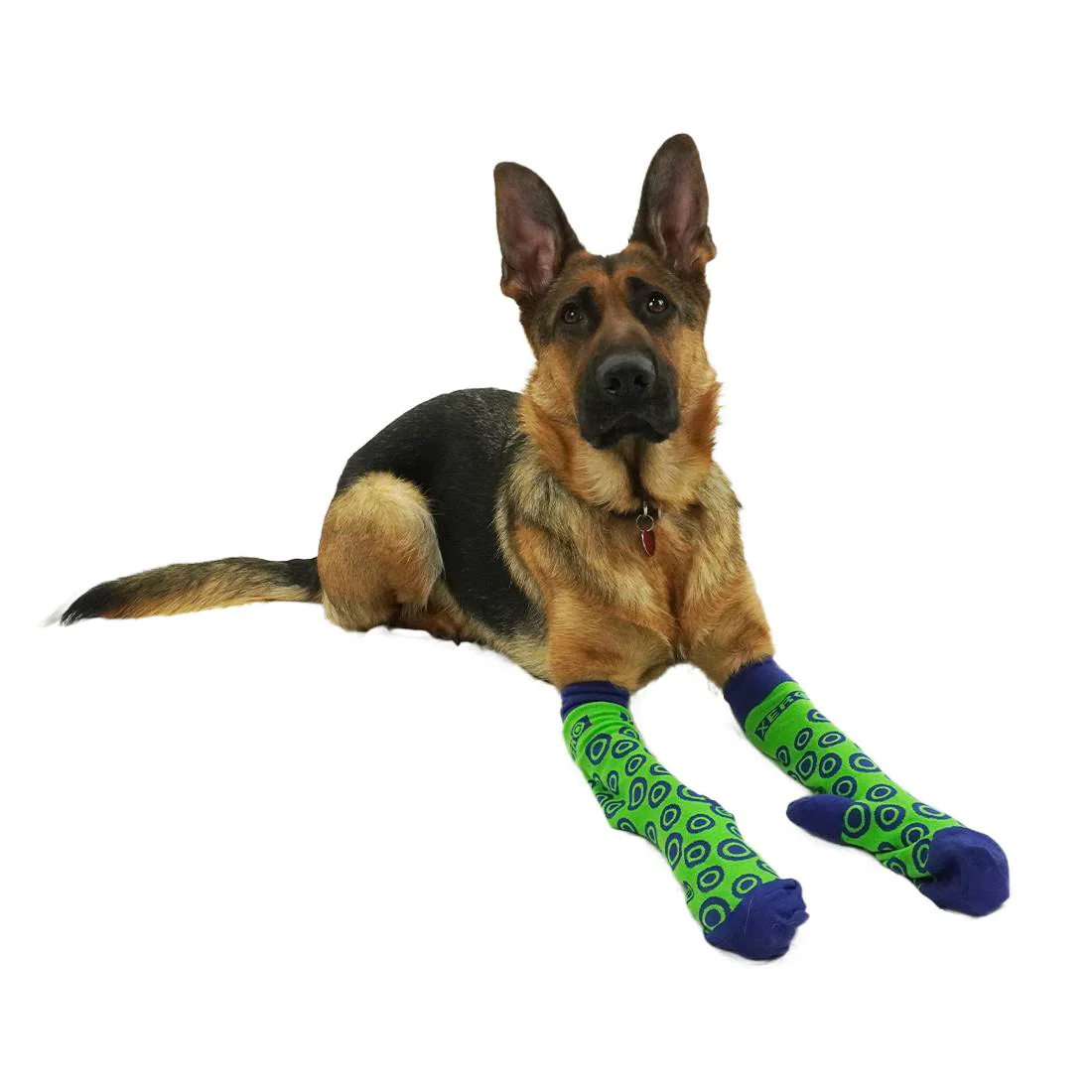 XERO Socks